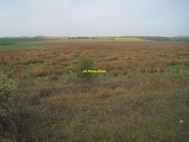 Photo 6"x4" View from a Newcastle-Edinburgh train - scrub near Newham Lucker c2016