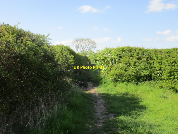 Photo 6"x4" Bridleway to Orston Elton on the Hill c2016