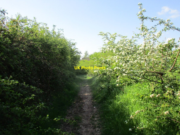 Photo 6"x4" Bridleway to Orston Elton on the Hill c2016 P1