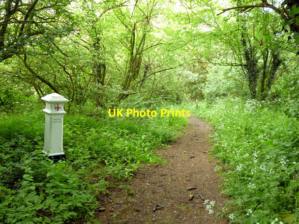 Photo 6"x4" London coal tax post Holyfield c2016