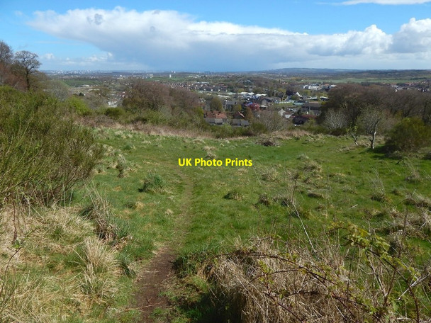 Photo 6"x4" Path in the Fereneze Hills Barrhead c2016 P1