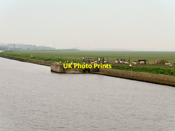 Photo 6"x4" Landing Stage and Sheep, Ince Banks Helsby c2016