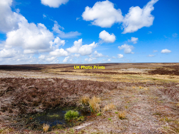 Photo 6"x4" Burn Howe Rigg, High Moor Burn Howe Rigg c2016
