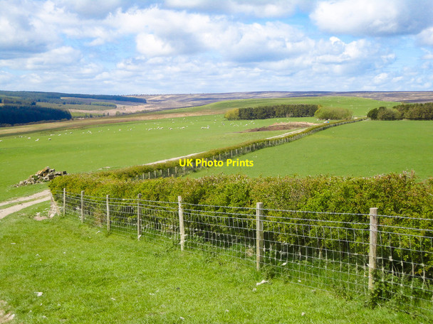 Photo 6"x4" Lownorth Moor View Harwood Dale c2016
