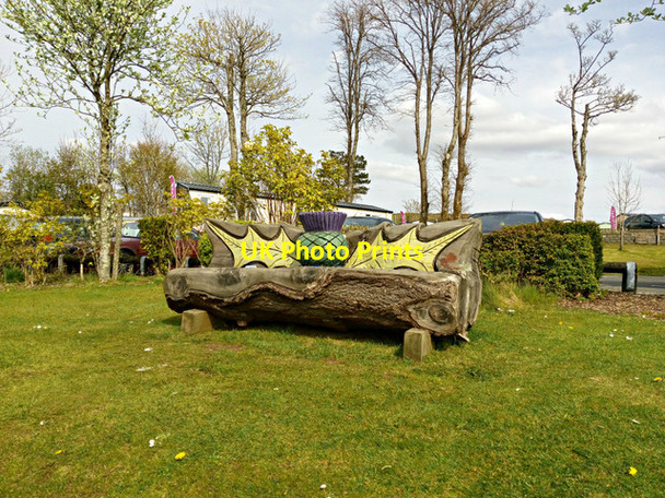 Photo 6"x4" Thistle bench at Wemyss Bay Holiday Park Skelmorlie c2016