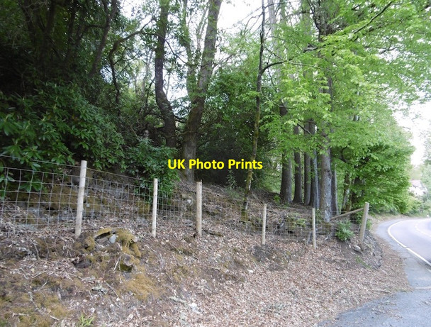 Photo 6"x4" Beside the A85, Lochawe Lochawe c2016