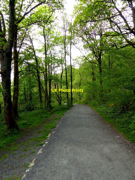 Photo 6"x4" Path between Skelwith Bridge and Elterwater Elterwater c2016
