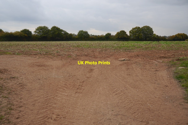 Photo 6"x4" Field entrance, Hendre Treaddow c2015