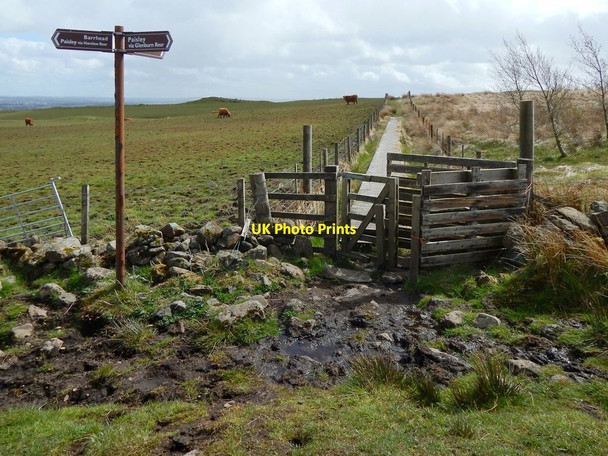 Photo 6"x4" Path to Killoch Glen Barrhead c2016