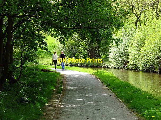 Photo 6"x4" Walking beside the Llangollen Canal Llangollen c2016