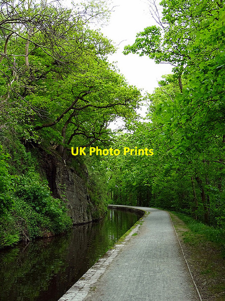 Photo 6"x4" The Llangollen Canal looking east Llangollen c2016