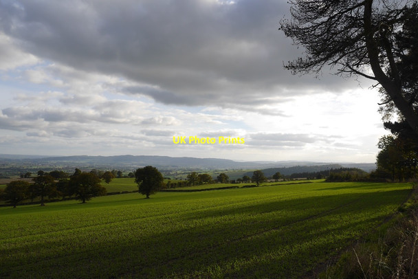 Photo 6"x4" Field, Callow Hill Lower Dinchope c2015