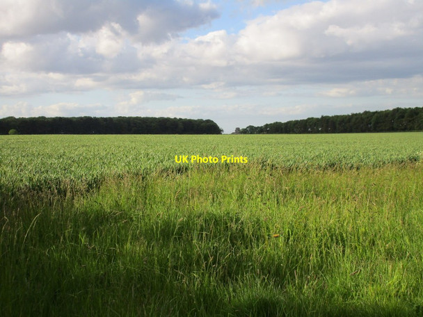 Photo 6"x4" View towards Dunkirk Farm Wootton\/TA0816 c2015