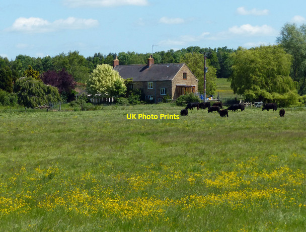 Photo 6"x4" Mill House Farm Walton Grounds c2015