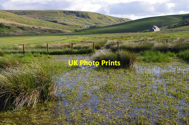 Photo 6"x4" Valley of Howgill Beck Forest Head c2015