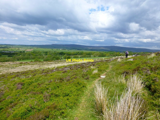 Photo 6"x4" Path on Hayshaw Fell Street\/SD5252 c2015