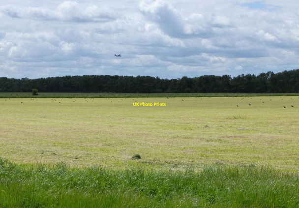 Photo 6"x4" Field cut for silage near Chibburn Mouth Hadston c2015