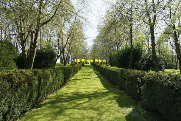 Photo 6"x4" Hedge Either Side Buscot c2015