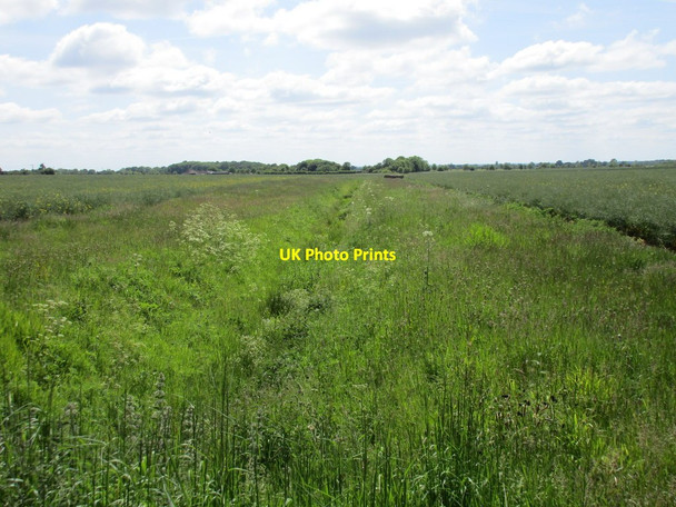 Photo 6"x4" Overgrown drain Waddingworth c2015