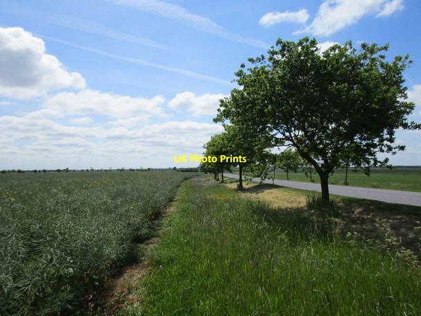 Photo 6"x4" Alongside a tree lined road Waddingworth c2015