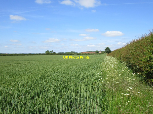 Photo 6"x4" Looking towards Hungram Farm Baumber c2015