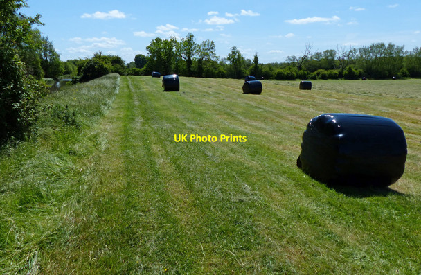 Photo 6"x4" Farmland and bales next to the Oxford Canal Somerton\/SP4928 c2015