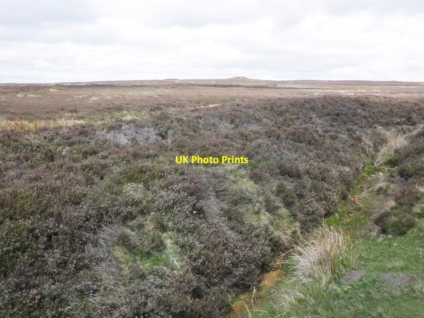 Photo 6"x4" View towards Three Howes Rosedale Abbey c2015