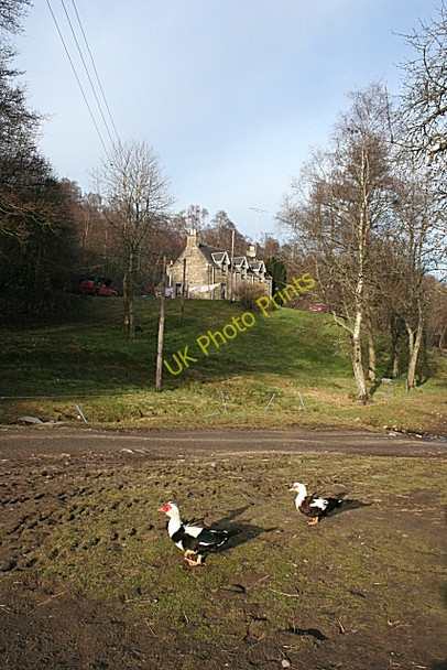 Photo 6"x4" Haugh of Kilmaichlie Cragganmore\/NJ1636 c2009