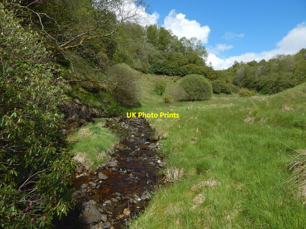 Photo 6"x4" The Overtoun Burn Dumbarton c2015