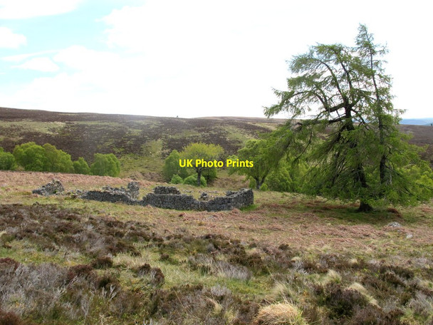 Photo 6"x4" Ruins at Altachoish Cragganmore\/NJ1636 c2015