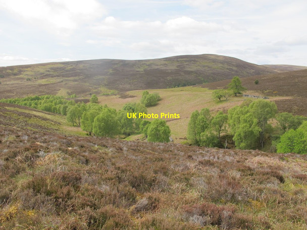 Photo 6"x4" Tree Lined Allt a' Chois Cragganmore\/NJ1636 c2015
