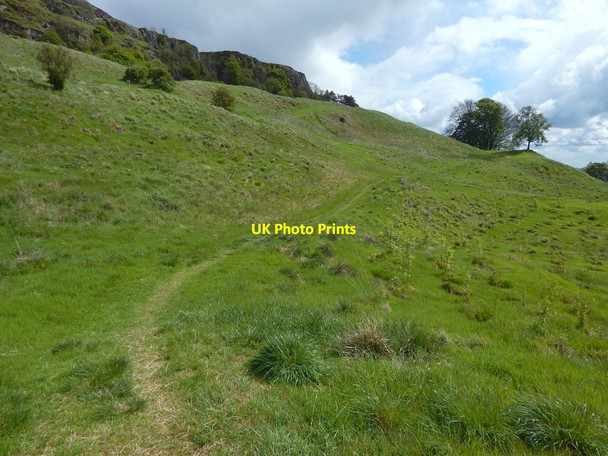 Photo 6"x4" Lang Craigs Woodland: mid-level path Dumbarton c2015