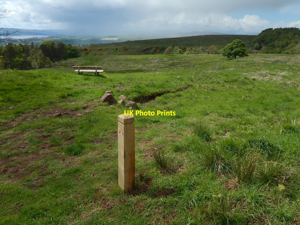 Photo 6"x4" Lang Craigs Woodland Dumbarton c2015