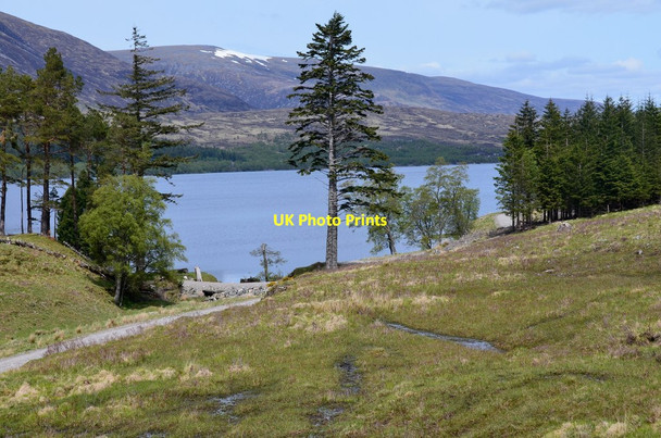 Photo 6"x4" Loch Laggan Torgulbin c2015