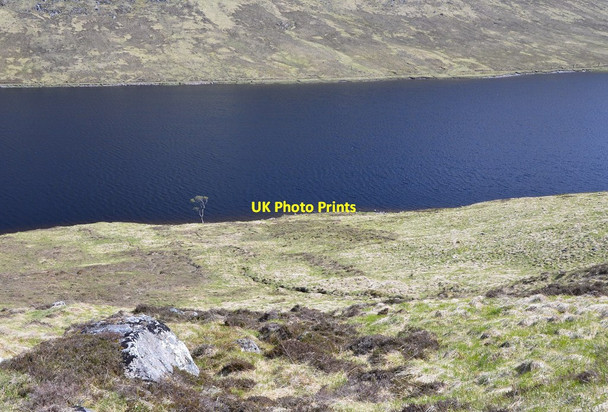 Photo 6"x4" Lochan and tree, Ardverikie Estate Torgulbin c2015