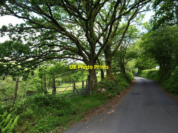 Photo 6"x4" Minor road from Glyntawe to Trecastle at Llwyn-yr-ynn Glyntawe c2015