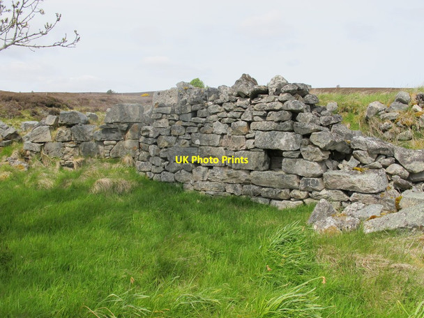 Photo 6"x4" Straangalls 2 of 6 Cragganmore\/NJ1636 c2015