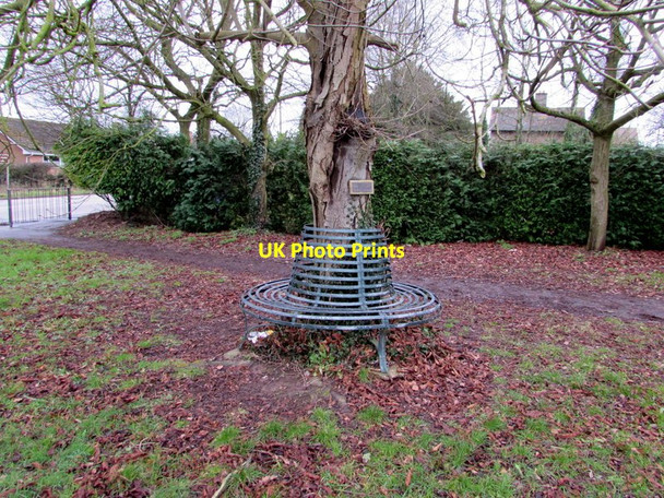 Photo 6"x4" Jubilee Seat, Much Birch Much Birch c2015