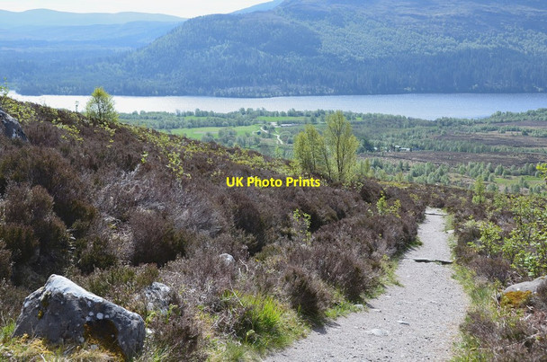 Photo 6"x4" Path from Aberarder Aberarder c2015