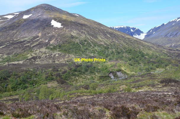Photo 6"x4" Hillside with trees Aberarder c2015