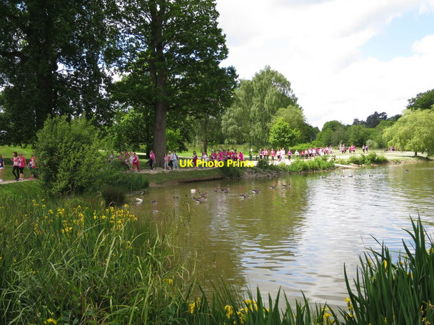 Photo 6"x4" Race for Life at Dunorlan Park Royal Tunbridge Wells c2015