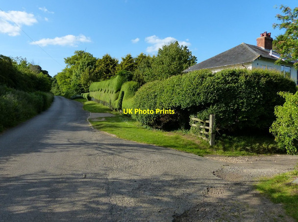 Photo 6"x4" Hendon Cottages along Middle Aston Road The Green\/SP4728 c2015