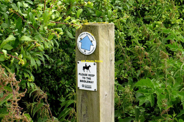 Photo 6"x4" A bridleway marker to Ardington Lane Steventon\/SU4691 c2015