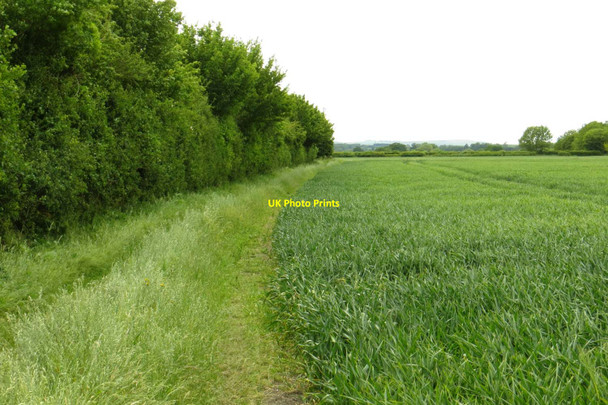 Photo 6"x4" The bridleway to Ardington Lane Ardington Wick c2015