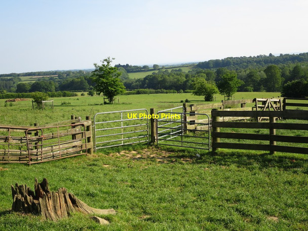 Photo 6"x4" Fields near Ox Lodge Twelve Oaks\/TQ6820 c2015