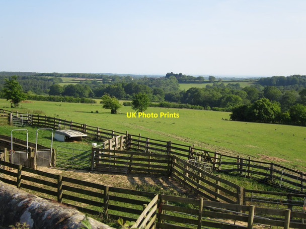 Photo 6"x4" Sheep pens near Ox Lodge Twelve Oaks\/TQ6820 c2015