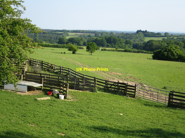 Photo 6"x4" Sheep pens near Ox Lodge Twelve Oaks\/TQ6820 c2015 P1