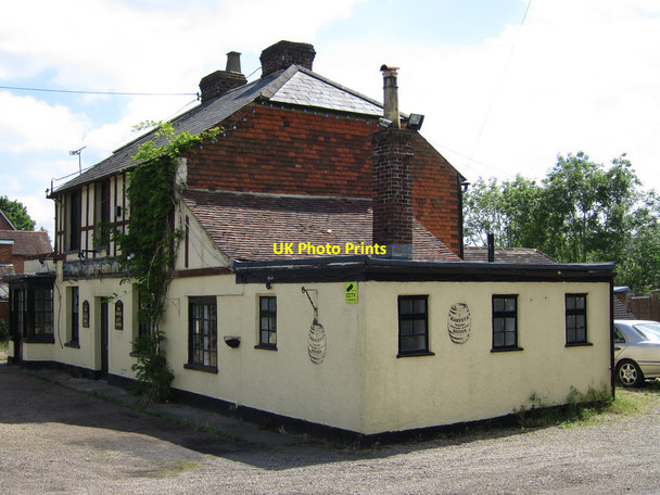 Photo 6"x4" The Hop Bine Knox Bridge c2015