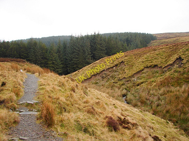 Photo 6"x4" The Severn Way looking towards Hafren Forest Source of River Severn \/ Afon Hafren c2009
