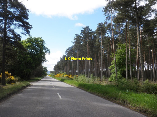 Photo 6"x4" The B9089 run through a forest plantation south of Burghead College of Roseisle c2015